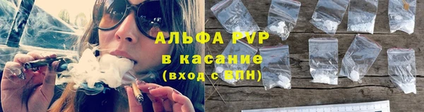 амф Вязьма