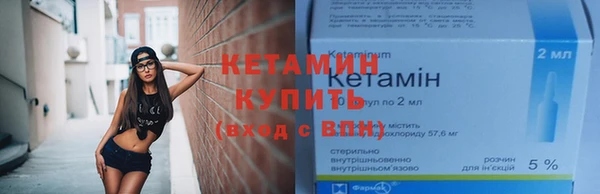 индика Володарск