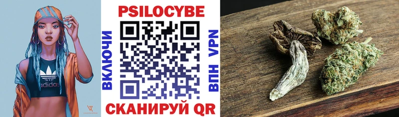 Псилоцибиновые грибы Psilocybine cubensis Канаш