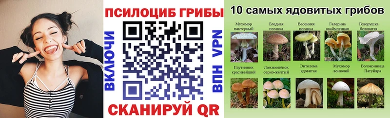 Псилоцибиновые грибы MAGIC MUSHROOMS  Канаш 